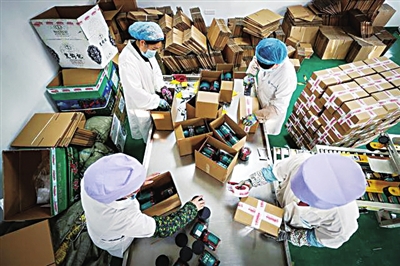 閩寧禾美電商扶貧車間的女員工在包裝枸杞。資料圖片