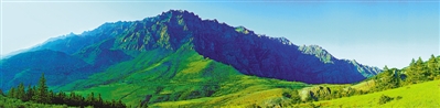 <p>　　實施天然林保護修復，筑牢黃河流域生態根基。</p>