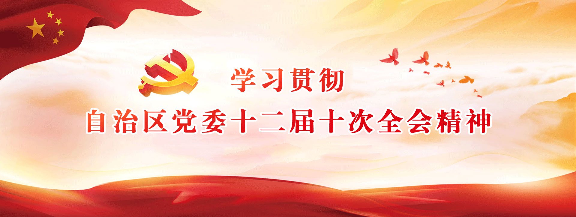 學習貫徹自治區黨委十二屆十次全會精神