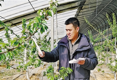 <p><span>　　人物檔案</span></p><br/><p><span><br/><span>　　楊青，永寧縣閩寧鎮黨委副書記、閩寧鎮原隆村黨支部書記</span></span></p><br/><p>　　2018年11月，我被組織安排到閩寧鎮工作，這也讓我有幸見證并參與了閩寧協作。在閩寧鎮的幾年里，我與福建援寧工作者和閩寧鎮干部群眾攜手攻堅克難，決戰決勝全面建成小康社會、推進鄉村全面振興，我們共同取得了全國脫貧攻堅楷模、時代楷模等榮譽稱號。</p><br/><p>　　目前閩寧鎮基礎設施完善，村容村貌整潔，移民群眾團結和睦，社會和諧穩定，“村村有產業、戶戶能致富”，移民人均可支配收入由最初的500元提升到現在的16098元，昔日杳無人煙的“干沙灘”變成百姓富裕的“金沙灘”，移民群眾的獲得感、幸福感、安全感全面提升，大家感恩我們偉大的黨、感謝我們的總書記。</p><br/><p>　　這次全國兩會，我希望代表委員帶去我們的心聲：從政策上聚焦“民富、業興、人旺、宜居”，推動閩寧鎮產城人融合發展，讓閩寧對口扶貧協作為閩寧鎮移民群眾致富賦能添力，讓我們在實現共同富裕的康莊大道上，交出無愧于時代、無愧于人民的答卷。（本報記者　李錦　秦磊　張濤　文/圖）</p><br/><p></p>