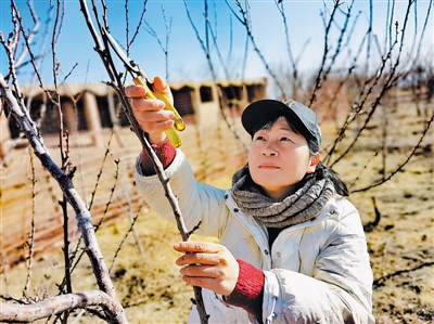 <p>　　人物檔案</p><br/><p>　　丁學林，同心縣鄉村振興局副局長</p><br/><p>　　2016年，我參與到閩寧協作工作中，通過這幾年同心縣的發展變化，真正感受到了“閩寧一家親”不只是一句口號，而是一份真正的手足情。</p><br/><p>　　2021年是莆田市對口幫扶同心縣的第一年，莆田援寧干部全身心投入真抓實干，全面或超額完成兩省區確定的10項目標任務。</p><br/><p>　　今年，我們將鞏固拓展脫貧攻堅成果同鄉村振興有效銜接，在提升產業水平上持續發力，用好閩寧對口協作平臺，立足同心資源稟賦，圍繞“8+1”重點產業，持續在建鏈強鏈上下功夫。在深化勞務協作上行穩致遠，拓寬就業渠道，積極開展就業培訓，提高培訓針對性、實用性，切實提升就業率。堅持優勢互補，著重在產業發展、勞務協作、消費幫扶、醫療教育等方面加強協作。脫貧摘帽不是終點，而是新生活、新奮斗的起點。閩寧之手，只會愈握愈緊！相信隨著協作方式的升級，“山海情”一定會有更加精彩的續集！</p><br/><p>　　（本報記者　馬忠　文/圖）</p><br/><p>　　人物檔案</p><br/><p>　　鄭開煌，寧夏閩強塑業有限公司負責人</p><br/><p>　　又到春暖花開時，春耕陸續開始，隆德縣的玉米、土豆和冷涼蔬菜種植都急需薄膜。目前，公司的10臺機器全部運轉，每天生產20噸薄膜。</p><br/><p>　　2016年，我來到隆德縣工業園區投資創業，得益于閩寧協作、得益于寧夏經濟社會的蓬勃發展，讓我能夠在這片土地上闖出一片屬于自己的天地。當初選擇來隆德，既是響應閩寧協作的號召，也想著把產業落戶到隆德，把技術帶給隆德百姓。經過6年的發展，現在公司每個崗位的骨干都是隆德人，公司已經徹底融入隆德的經濟發展中。目前公司招聘了當地22名工人，工人每月工資都在5000元以上。我熱愛這片土地，寧夏就是我的第二故鄉，我的家人都已定居隆德，3個孩子也在這里上學。</p><br/><p>　　作為一名閩寧協作企業負責人，促進兩地協作、助力鄉村振興是我不變的初心，希望更多的福建企業家來到寧夏這片熱土投資創業。</p><br/><p>　　（本報記者　馬忠　文/圖）</p><br/><p>　　人物檔案</p><br/><p>　　陳振能（左），彭陽縣委常委、副縣長（掛職）</p><br/><p>　　2021年7月，組織安排我到彭陽縣掛職工作，讓我有幸成為閩寧協作的一員，能夠在新發展階段推動閩寧協作