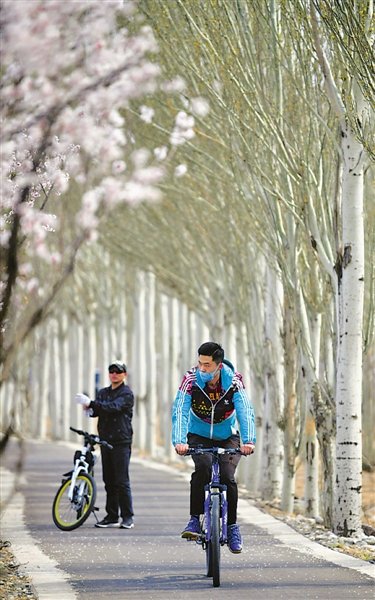 <p>　　4月5日，銀川市天氣晴好，市民們騎車出行，樂享春光。</p><p>　　本報記者　馬楠　攝</p>