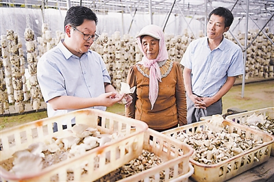 <p>　　福建省農業科學院專家林戎斌（左一）向固原市原州區河川鄉康溝村村民傳授蘑菇種植技術。</p>