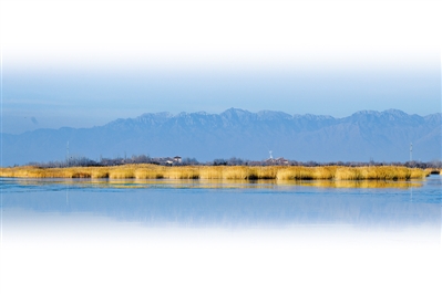 <p>　　沙湖風景區空氣通透水天一色。</p>
