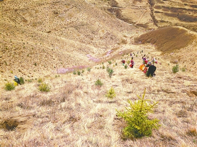 <p>　　盡日不忘植樹人</p>