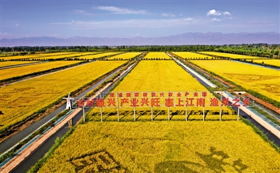 <p>　　賀蘭縣稻漁空間秋景。本報記者　李濤　攝</p>