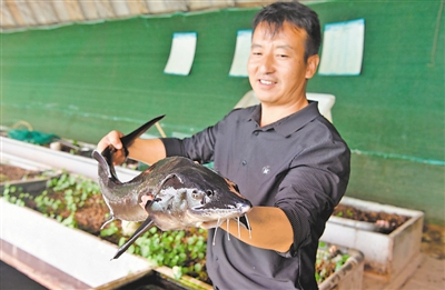 <p>　　村民抱著自家養殖的鱘龍魚面露喜色。</p>