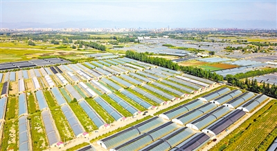<p>　　五渡橋村主抓設施蔬菜產業，建有二代溫棚44000余間，園區年產值近9000萬元，成為農民增產增收的主要途徑。</p>