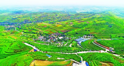 西海固：蓄足動能再出發——來自寧夏脫貧鄉村的調研