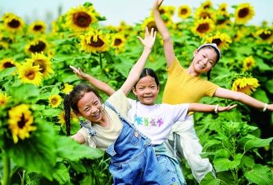 西海固：蓄足動能再出發——來自寧夏脫貧鄉村的調研