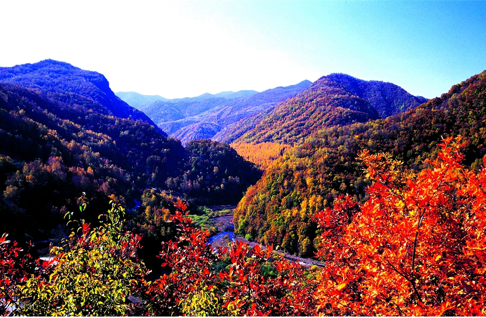 11月份--秋日六盤山.jpg