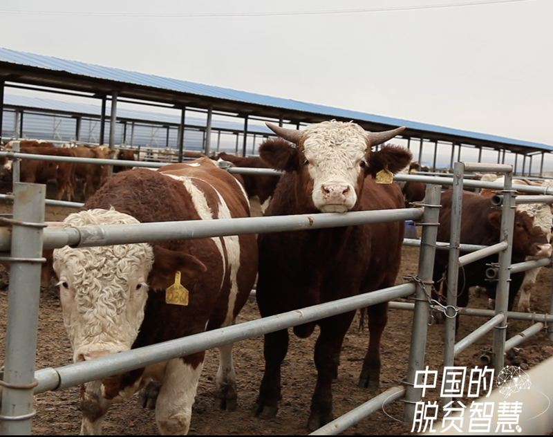 養殖園區12.png