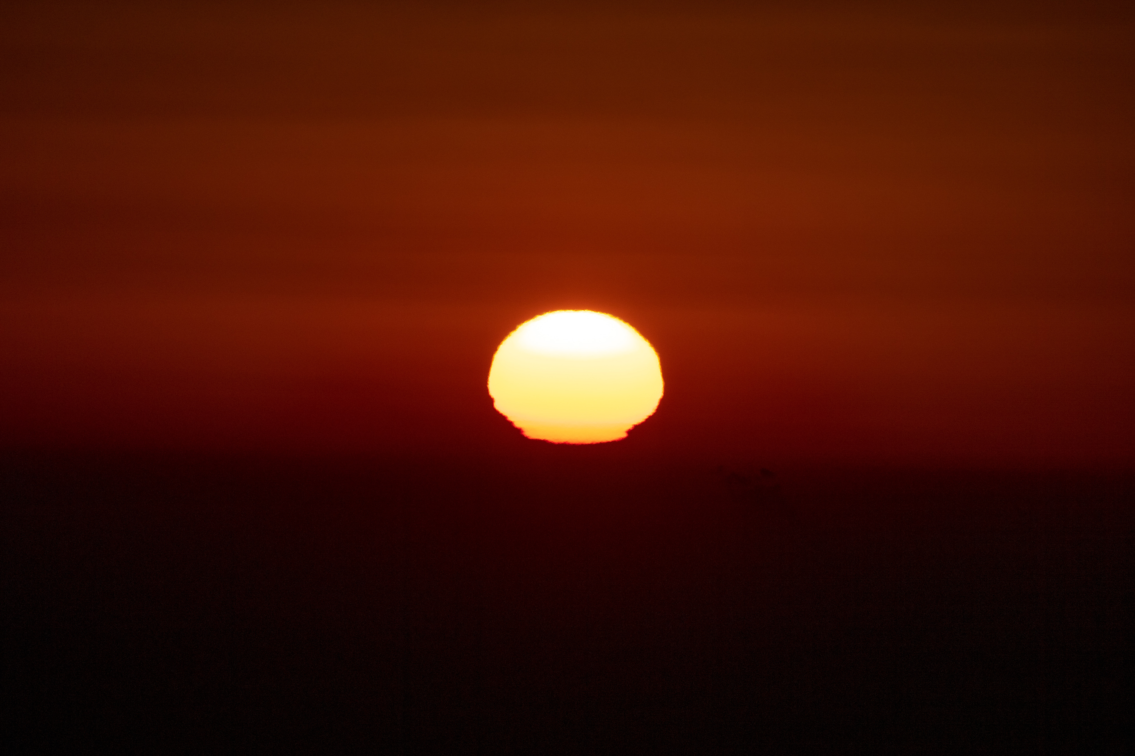 QYT_1353.jpg