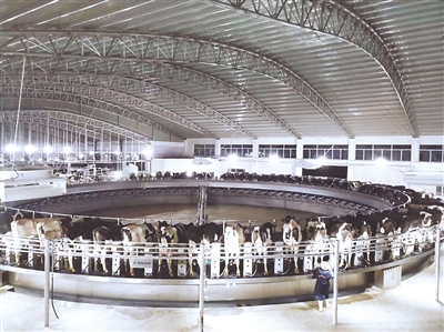 <p>　　平羅縣紅崖子奶牛養殖基地。</p>