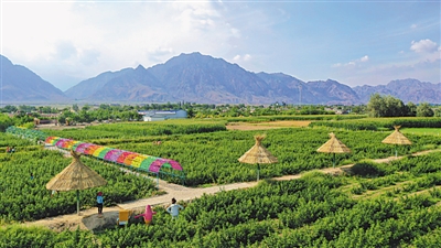 <p>　　平羅縣崇崗鎮常青村在“美麗鄉村”項目的實施下實現蝶變。</p>