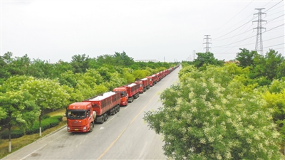 <p>　　運輸車輛排成行。</p>