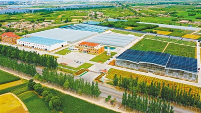<p>　　泰金種業科技產業園。</p>