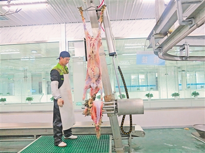 <p>　　　　寧夏福興神農食品有限公司的工人在分割灘羊肉。</p>
