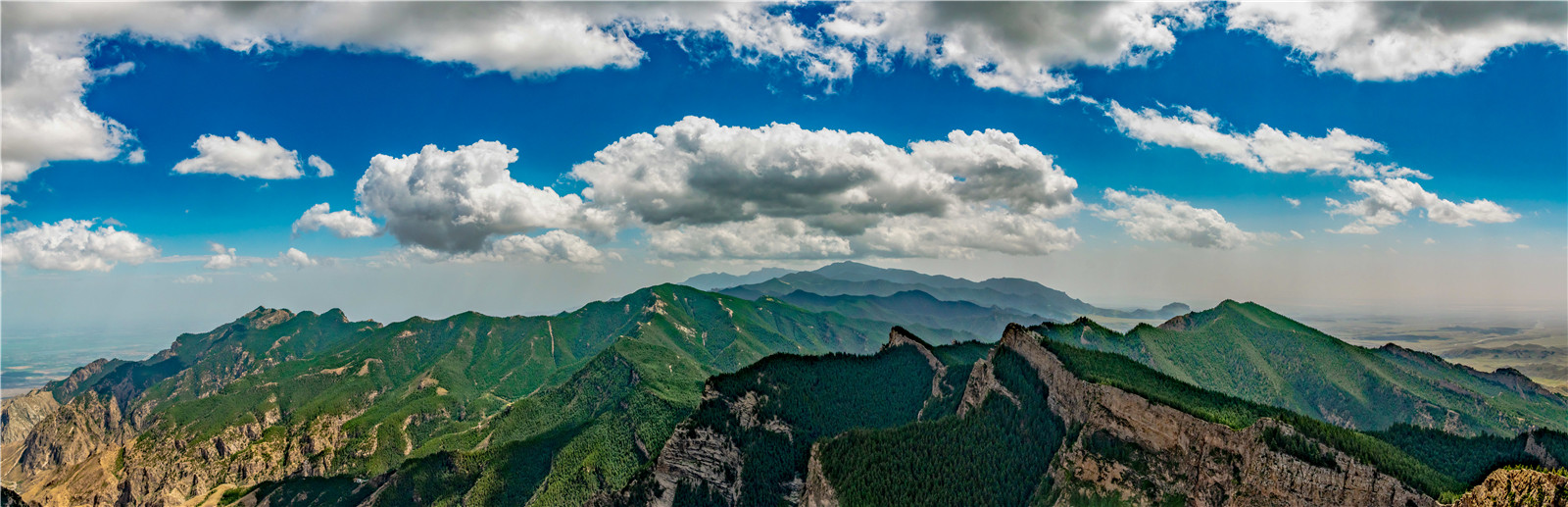 賀蘭山披綠衣.jpg