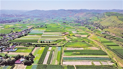 <p>　　火集村蔬菜種植基地。</p>