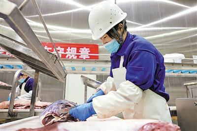 <p>　　海原縣海潤肉類食品有限公司屠宰場，工人在流水線上分割處理牛肉。</p>