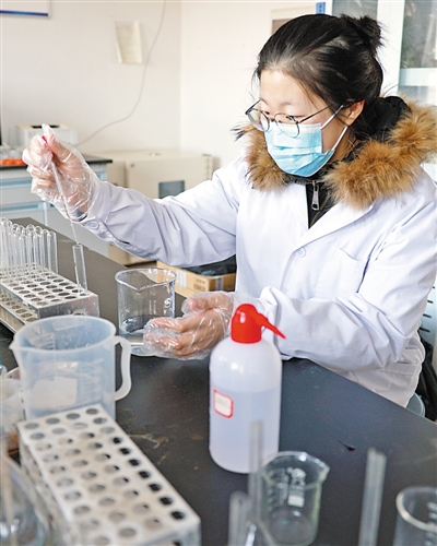 <p>　　寧夏西海固高端牛產業研究院飼料營養研究室，西北農林科技大學學生在進行實驗。</p>