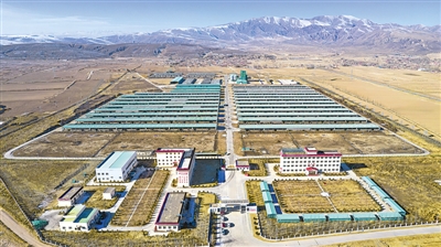 <p>　　海原縣標準化、規?；馀ｐB殖基地。</p>