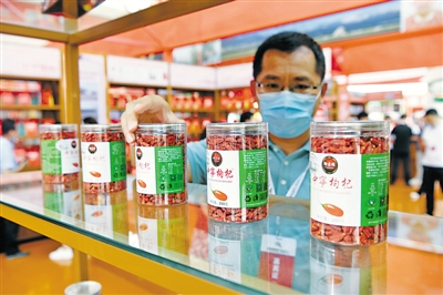 <p>　　中寧枸杞具有“甘美異于他鄉者”的獨特品質。　　　　　　　　　　　　　　　　本報記者　白茹　攝</p>