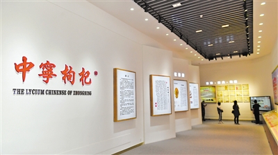 <p>　　寧夏大學枸杞職業技術繼續教育學院枸杞文化長廊展示枸杞歷史文化。依托院校資源，中寧縣大力培養枸杞苗木繁育、電子商務、冷鏈倉儲、科技推廣等方面的專業技術人才。　　　　　　　　　　　　　　　　　　　　　　　　　　　　　　　　　　　　　　　　　　　　　　本報記者　王鼎　攝</p>