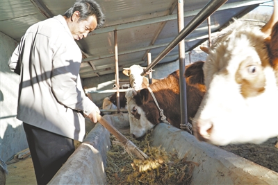 <p>　　有水就敢大膽發展養殖產業。</p>
