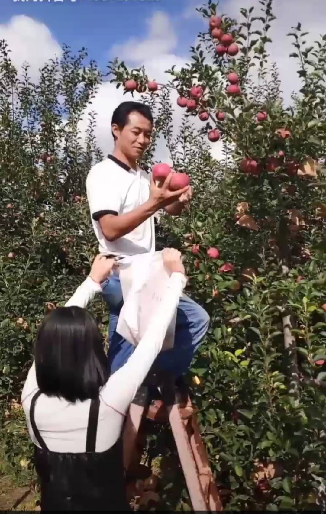 27、馬科.jpg