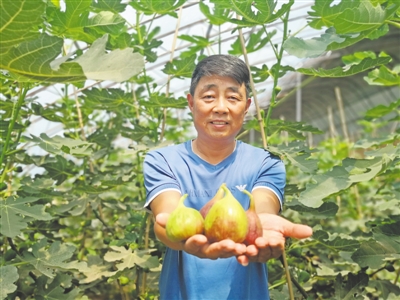 <p>　　蜜瓜、無花果、奶牛養殖……月牙湖鄉抓住產業扶貧這個關鍵詞，推進一二三產業融合發展。</p>