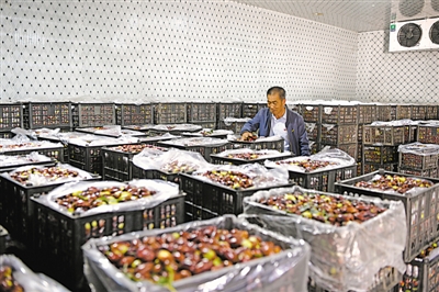 <p>　　郝家橋鎮(zhèn)團(tuán)結(jié)村新建的冷庫，可使長棗保鮮期延長一個(gè)月。</p>