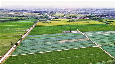 <p>　　原州區(qū)冷涼蔬菜種植面積達(dá)24萬多畝。</p>