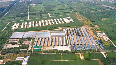 <p>　　新堡鎮“跨村聯建”。</p>