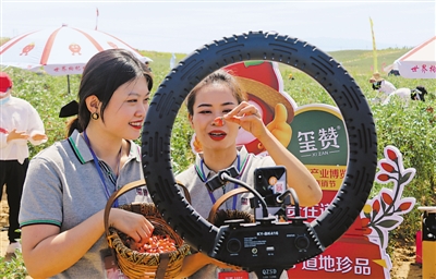 <p>　　中寧入列全國電子商務進農村綜合示范縣。</p>