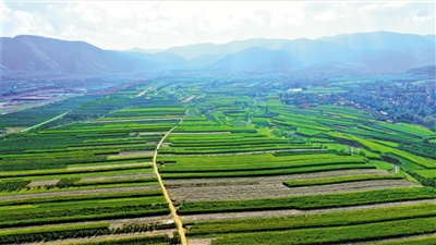 <p>　　涇源縣涇河源鎮(zhèn)。寧夏推動(dòng)山林權(quán)改革，構(gòu)建從“綠水青山”到“金山銀山”的價(jià)值實(shí)現(xiàn)機(jī)制。　　　　　　　本報(bào)記者　剡文鑫　攝</p>