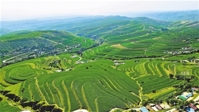 <p>　　彭陽縣青云灣流域。</p>