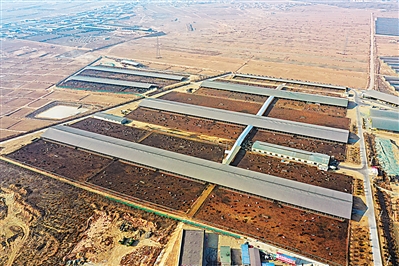 <p>　　中煙“飛地”肉牛養(yǎng)殖園區(qū)。本報實習(xí)生　彭斌　攝</p>
