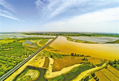 <p>　　陶樂黃河大橋。　　　本報記者　王曉龍　　攝</p>