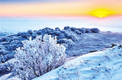 <p>　　雪后的羅山自然保護(hù)區(qū)?！傲珠L”當(dāng)家，實(shí)現(xiàn)“山有人管、林有人護(hù)、責(zé)有人擔(dān)”。本報(bào)記者　杜曉星　實(shí)習(xí)生　彭斌　攝</p>
