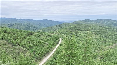 <p>　　涇隆公路沿線景致（資料圖片）。全區(qū)山林權(quán)改革實(shí)施以來，林地確權(quán)有了新突破。重點(diǎn)縣區(qū)權(quán)屬無爭議林地確權(quán)率達(dá)到98.27%，依申請(qǐng)頒發(fā)林權(quán)類不動(dòng)產(chǎn)證233本，基本實(shí)現(xiàn)“應(yīng)確盡確”。登記頒證有了新模式。鹽池縣將確權(quán)的林地量化為股權(quán)，實(shí)現(xiàn)　“分股不分山”“分利不分林”。彭陽縣變單戶發(fā)證為聯(lián)戶發(fā)證，首創(chuàng)《山林地確權(quán)明白書》，破解“一戶多證”的難題。植綠護(hù)綠有了新主體?；蒉r(nóng)區(qū)通過建立林票換能票、能票換鈔票、鈔票換林票的“三票”聯(lián)動(dòng)機(jī)制，引入社會(huì)資本5600萬元。林權(quán)融資有了新渠道。靈武市設(shè)立政府回購基金，通過“預(yù)回購+林權(quán)質(zhì)押+擔(dān)保+貸款”的林業(yè)金融服務(wù)模式，為經(jīng)營主體授信擔(dān)保貸款。流轉(zhuǎn)收益上了新臺(tái)階。彭陽縣集體林地流轉(zhuǎn)交易價(jià)格從2021年的每畝13—20元增長到2022年的每畝37—250元，帶動(dòng)集體林地經(jīng)營權(quán)流轉(zhuǎn)增值效應(yīng)逐步顯現(xiàn)。</p><p>　　目前，已有5宗山林權(quán)在自治區(qū)公共資源交易平臺(tái)完成交易，成交金額169.27萬元，成交面積2504.5畝。本報(bào)記者　毛雪皎</p>