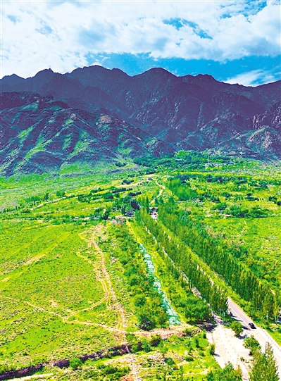    綠色——賀蘭山，寧夏的父親山。隨著近年來賀蘭山生態(tài)保衛(wèi)戰(zhàn)的打響，賀蘭山生態(tài)逐步恢復(fù)，是寧夏踐行“綠水青山就是金山銀山”理念的生動(dòng)寫照。     本報(bào)記者 馬楠 攝