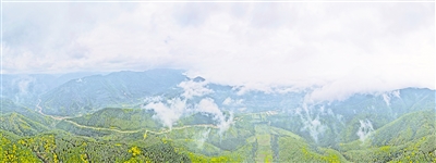     清晨，薄霧籠罩六盤山。